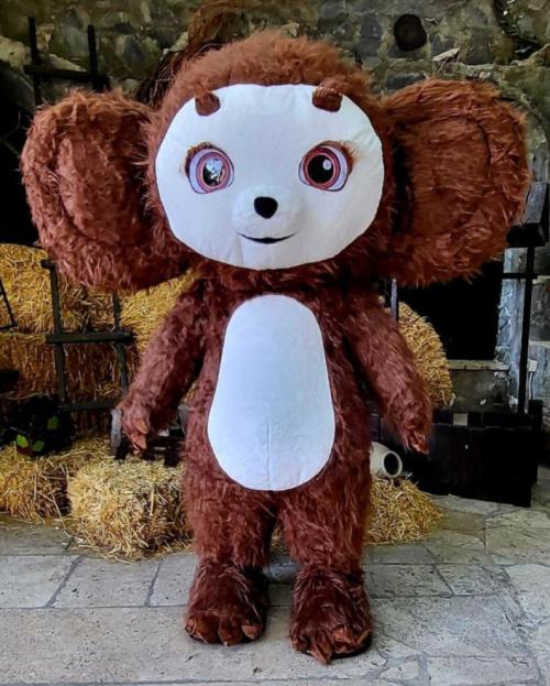 Չեբուրաշկա