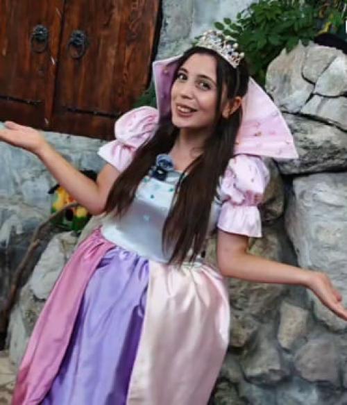 Չիչիի ծրագիր